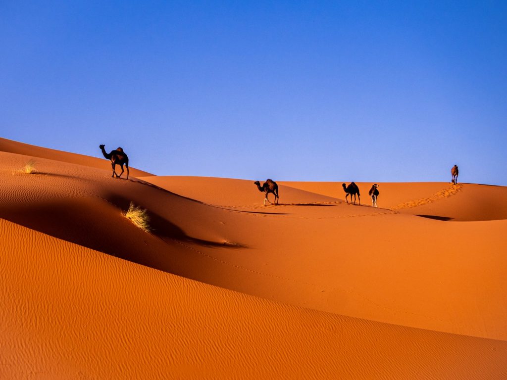 Tours en Marruecos