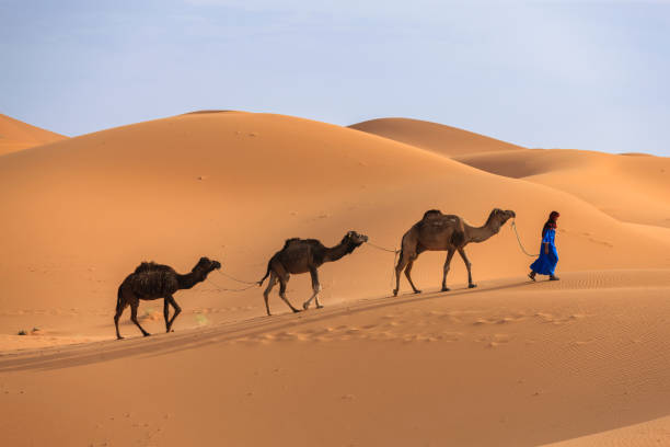 tour de 7 días Marrakech desierto