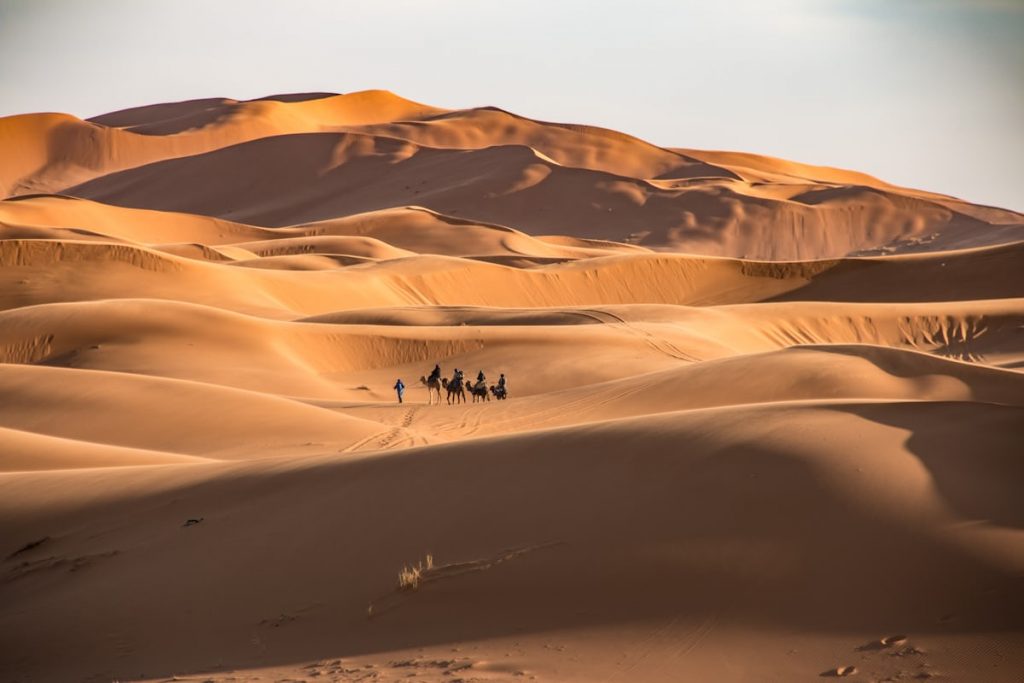 10 Días - 9 Noches : Ciudades Imperiales y Desierto