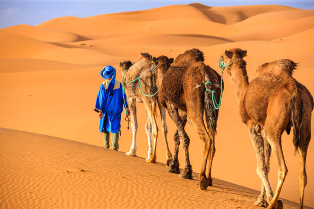 Merzouga